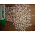 Fresh Normal White Garlic 4.5cm